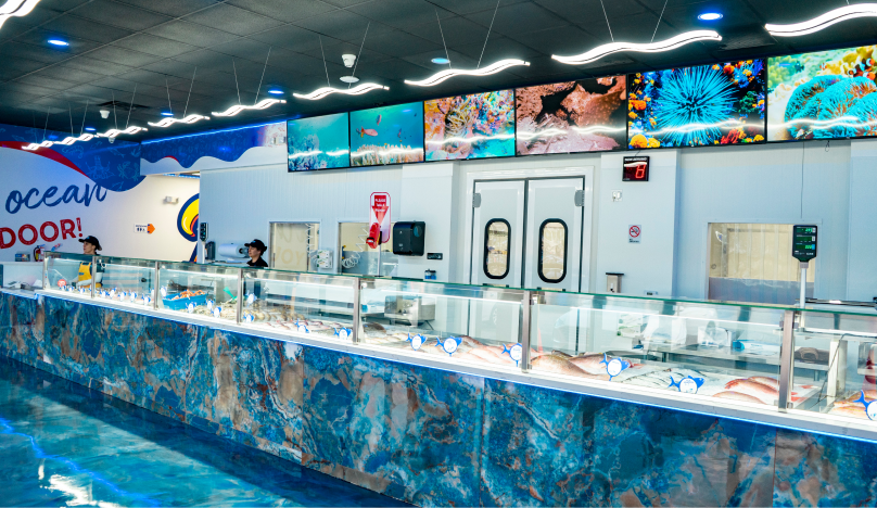 Ocean Fish Shop Store – Ocean2Fish