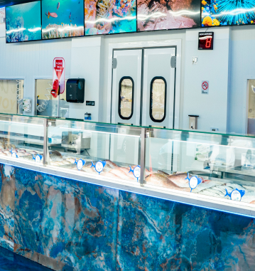 Ocean Fish Shop Store – Ocean2Fish
