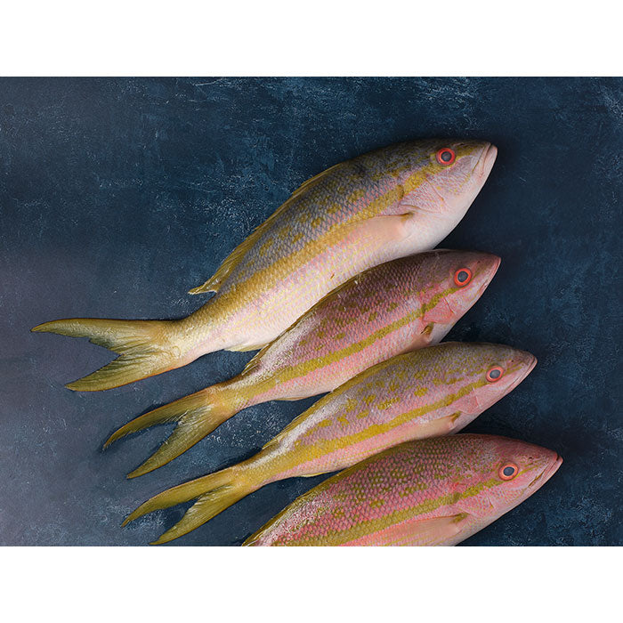 New Zealand Pacific Red Snapper, Whole